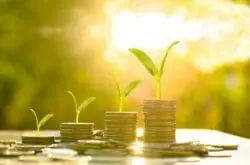 Purchase Order Financing vs Invoice Factoring