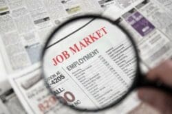 Small Business Job Market